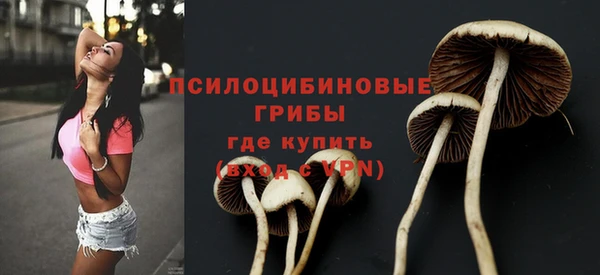 ECSTASY Белоозёрский