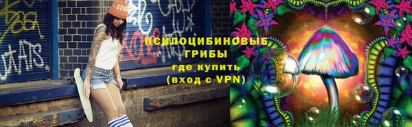 прущий лед Белокуриха