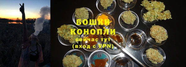 прущий лед Белокуриха